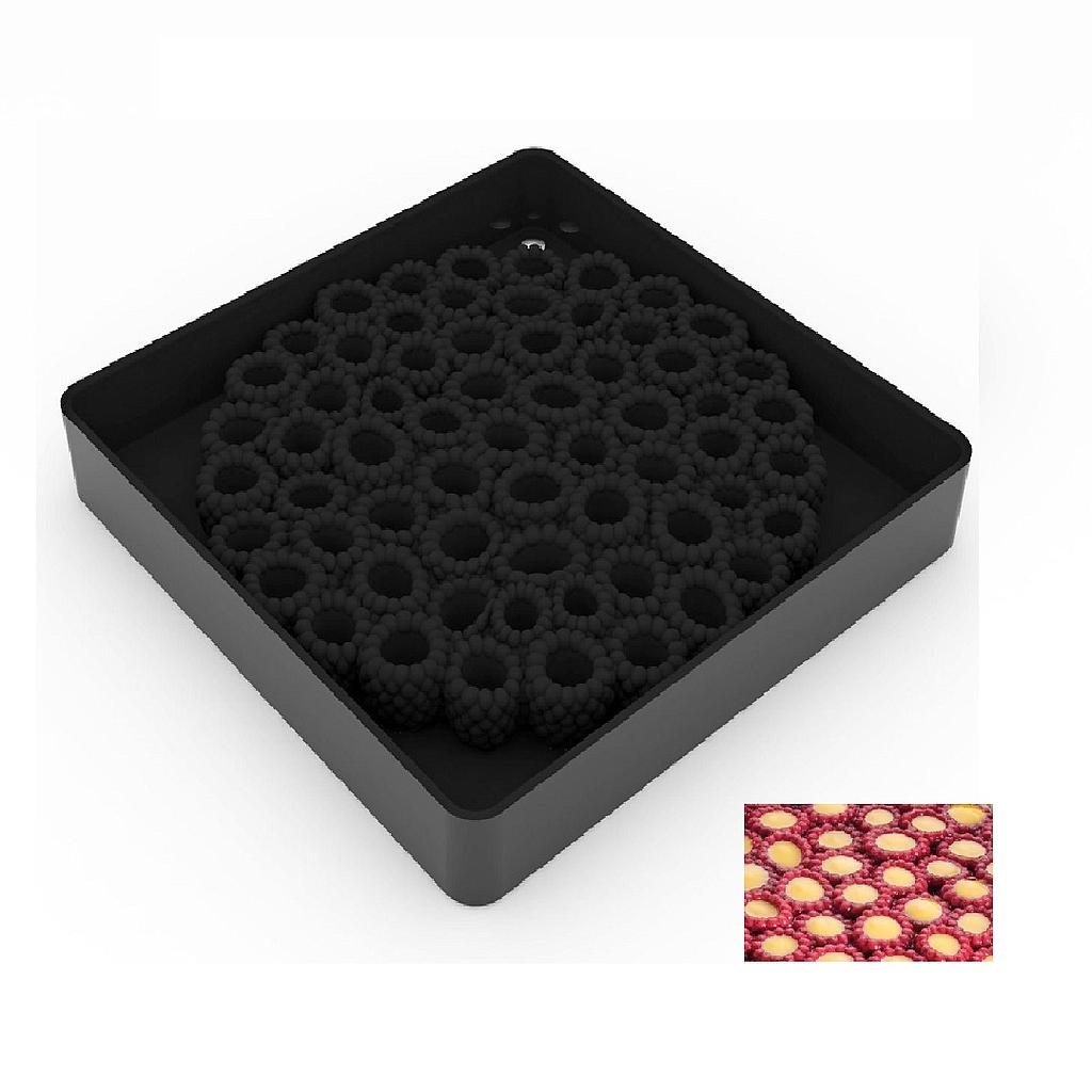 SILICONE MOULD 19x19 RASPBERRY ø180mm